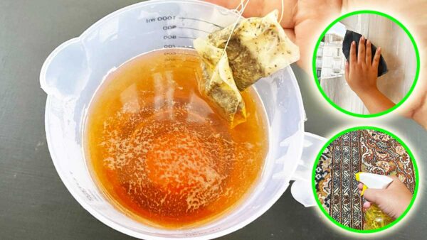 Le bustine del tè prima di buttarle possono avere un secondo utilizzo in casa