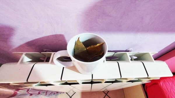 Con una tazza i termosifoni profumano e non c’è più aria secca in casa