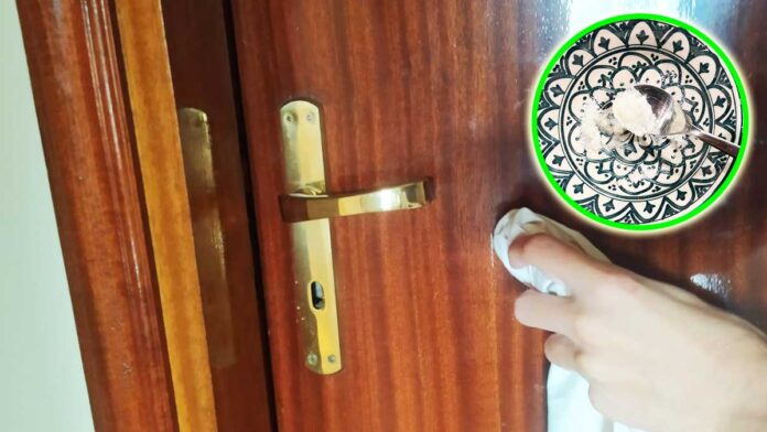 balsamo-porte-legno
