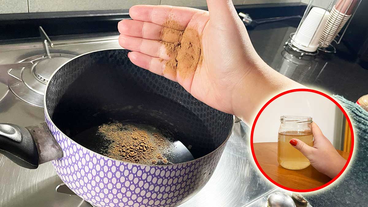 Il Vasetto Mangia-odori che toglie la puzza di chiuso in inverno quando non puoi aprire le finestre