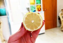 come-pulire-casa-limone