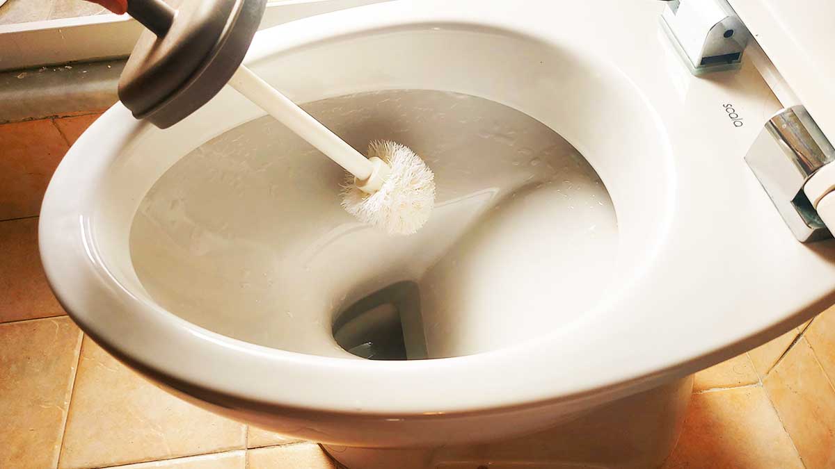 Come pulire lo scopino del WC