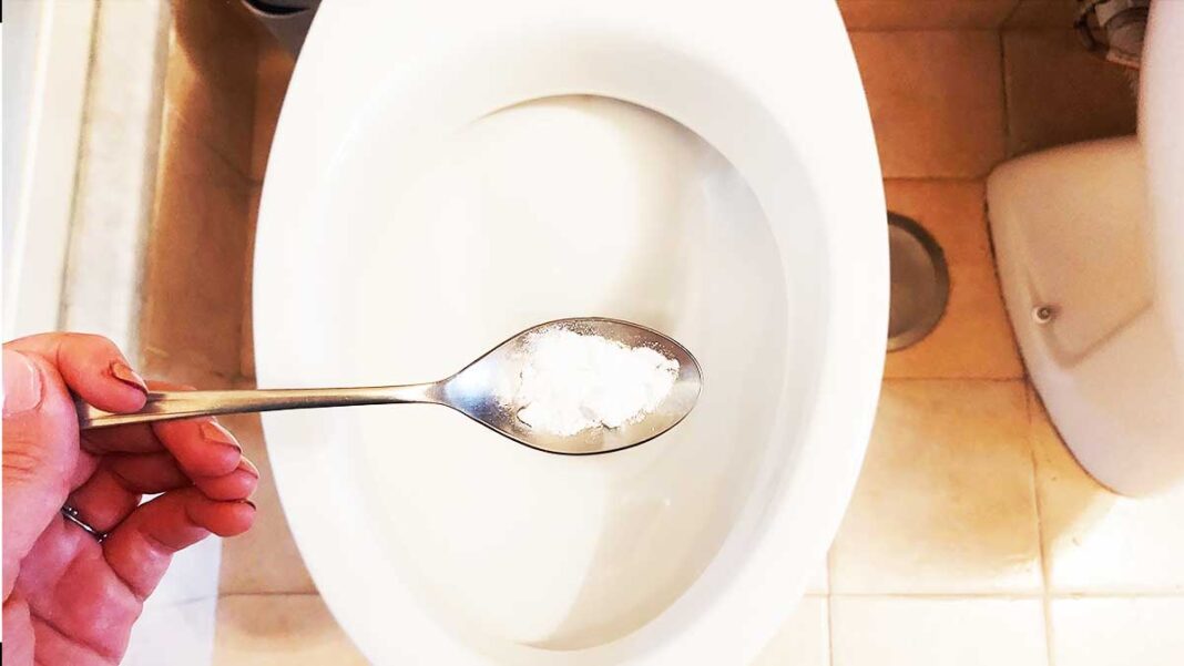 come-togliere-puzza-scarico-wc come-togliere-puzza-scarico-wc