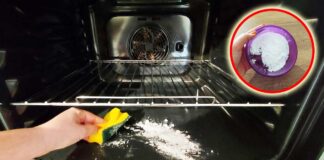 pulire-forno-bicarbonato