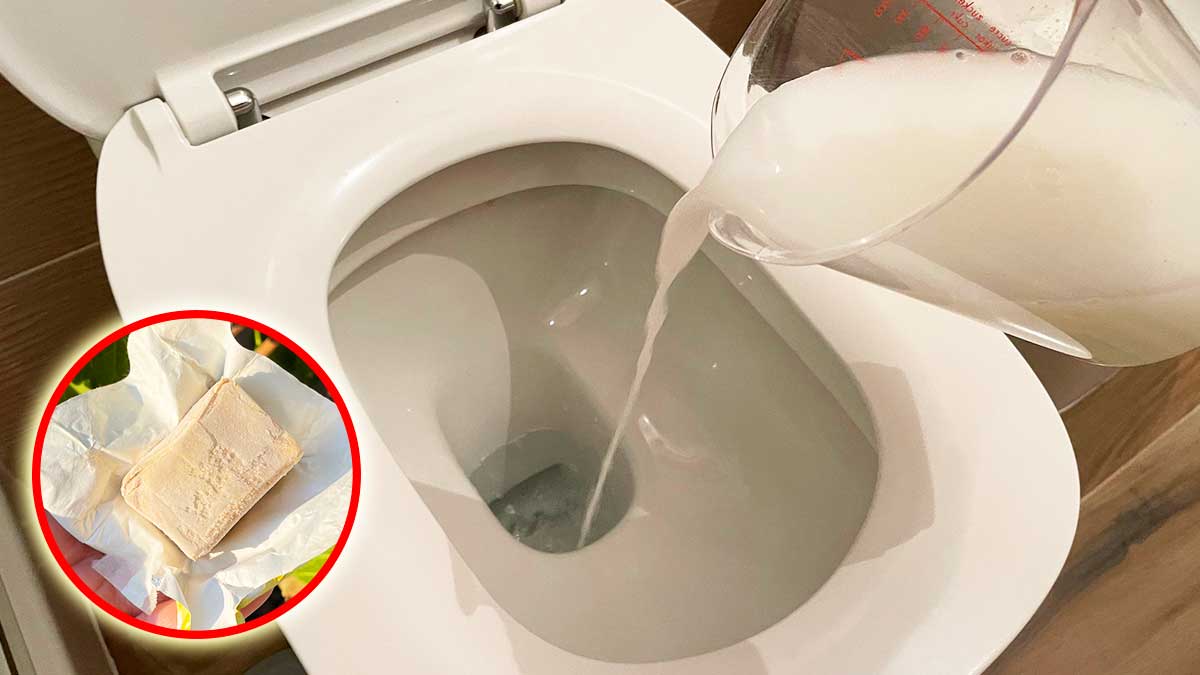 Come eliminare la puzza di fogna in bagno! - Vivo di Benessere