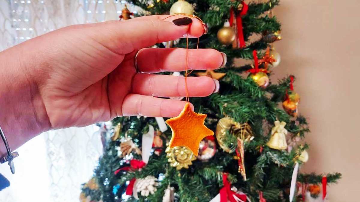 Cosa mettere sull’Albero di Natale per profumare la Casa ogni giorno?