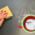 Come togliere le Ditate dal Tavolo con una passata di questi 5 Metodi fai da te