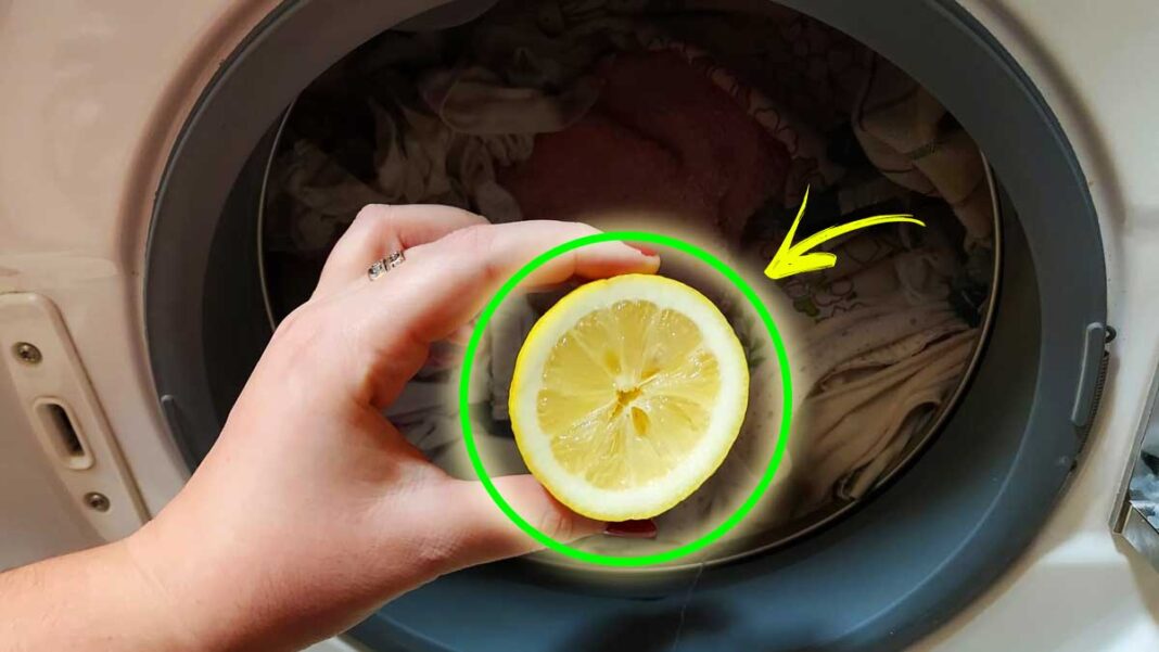 limone-lavatrice