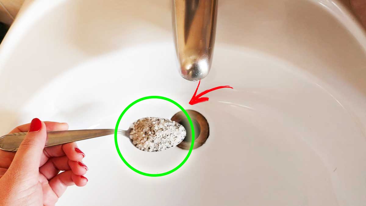 Come togliere la Puzza di Fogna in Bagno con 5 Trucchetti fai da te