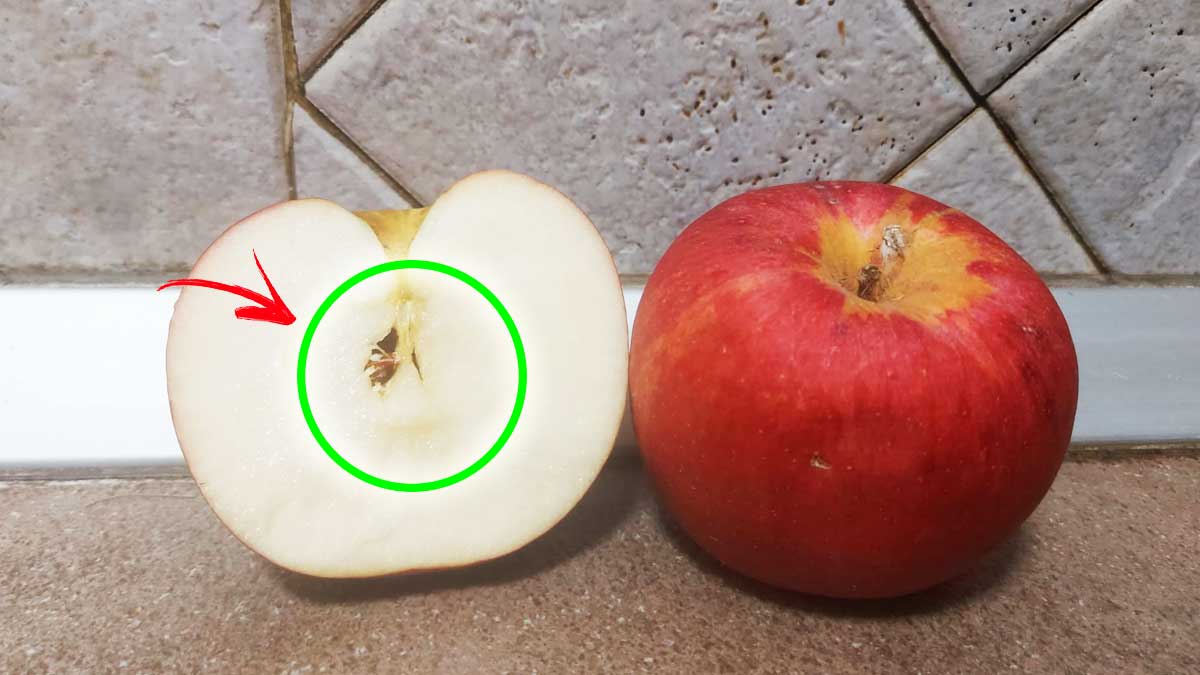 Conosci il significato del Cuore della Mela? Basta dividerla a metà