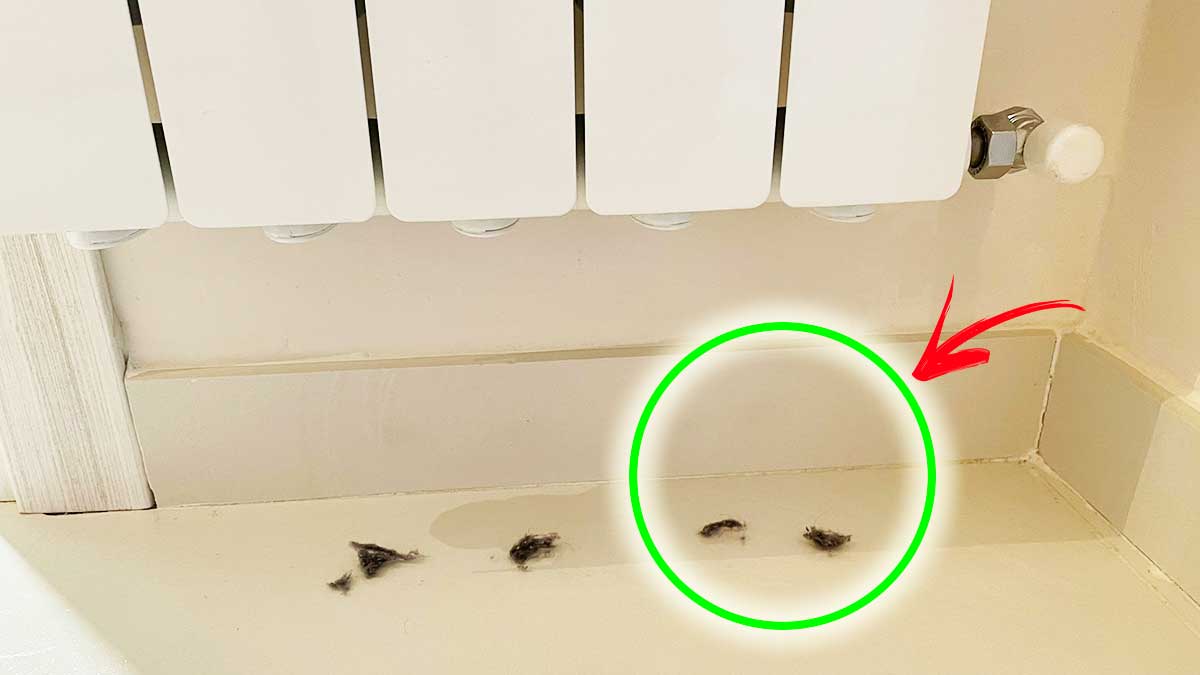 Perché il Termosifone fa tanta Polvere in basso?