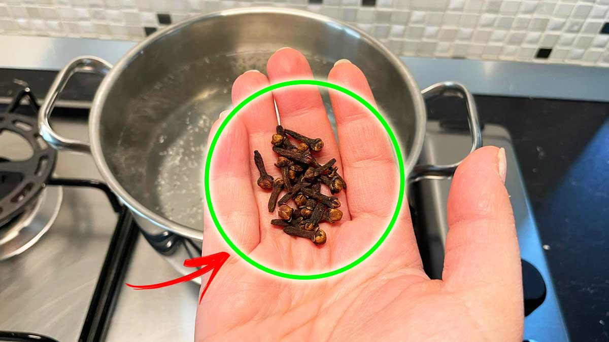 I Cattivi Odori in casa spariscono con questo rimedio del Supermercato!