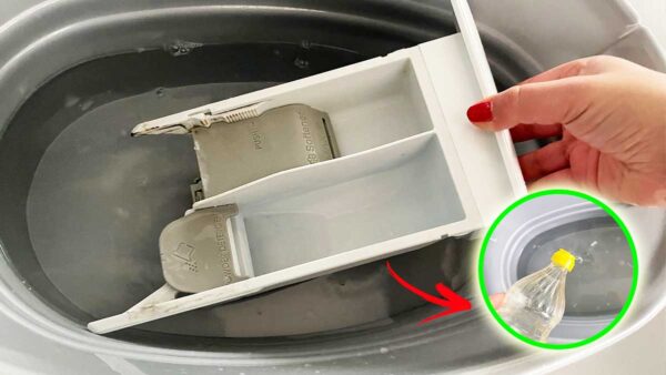 BeliceWeb.it - Come pulire il cassettino della lavatrice con una bacinella