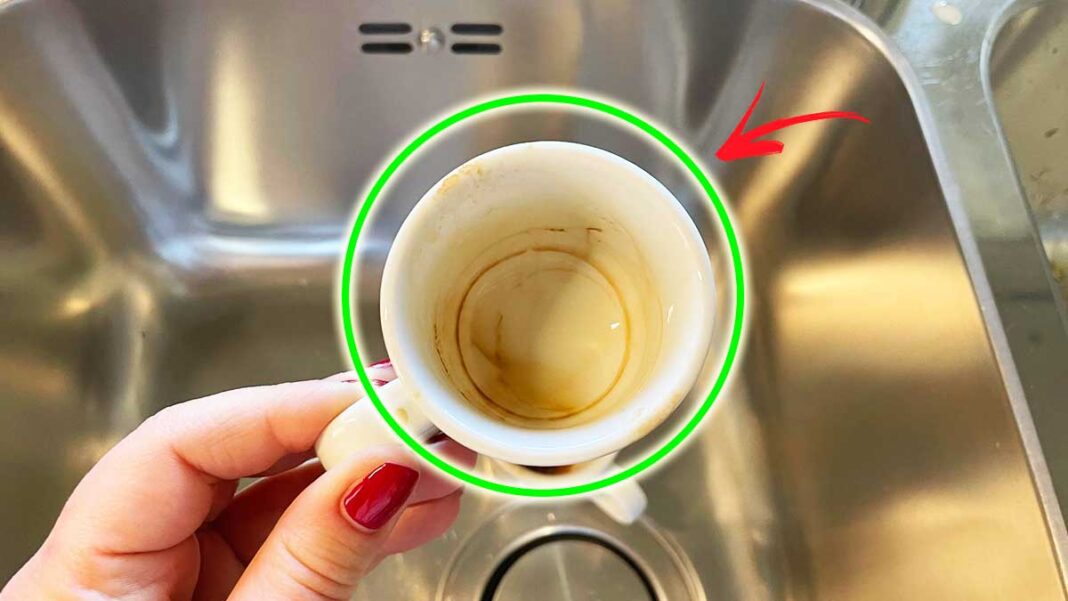 halos-tazas-de-cafe halos-tazas-de-cafe