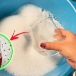 Prova il Metodo Tre Bacinelle per far brillare i Bicchieri opachi!