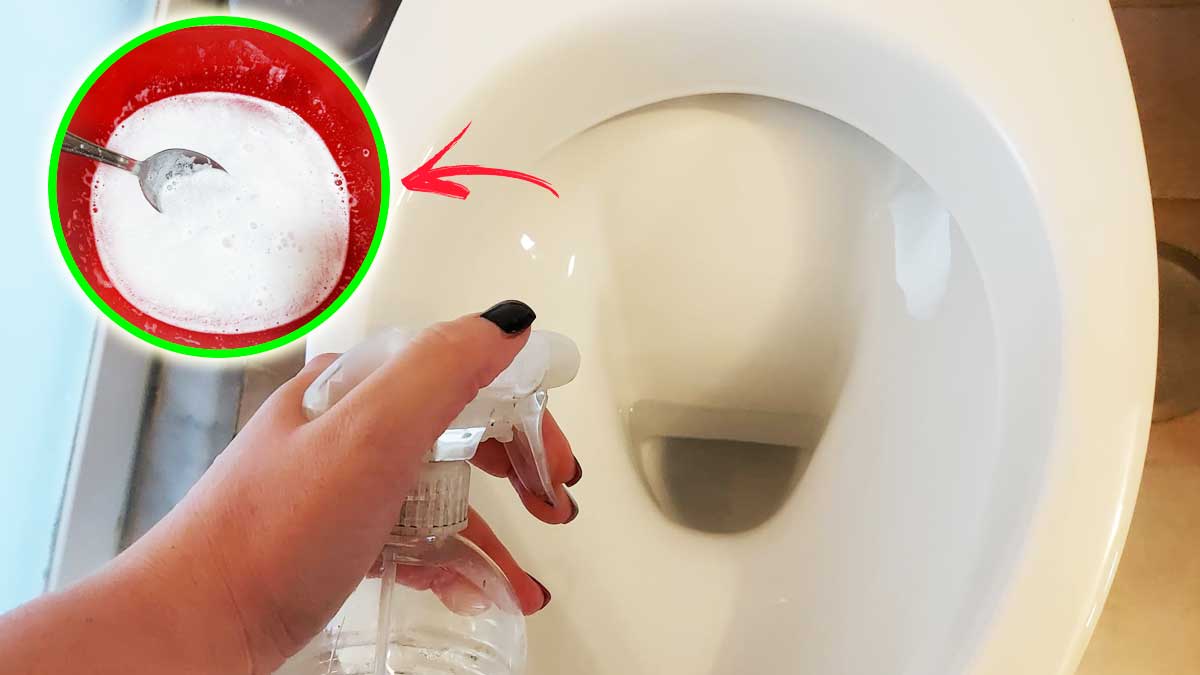 Questo Rimedio è il Metodo più potente ed economico per Sbiancare e Profumare il WC!
