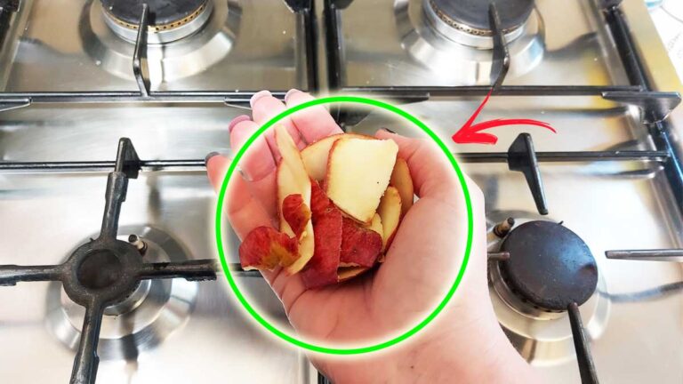 Wehhbtye 50 Piatti Di Carta A Forma Di Mela Rossa, Per Il Primo Giorno