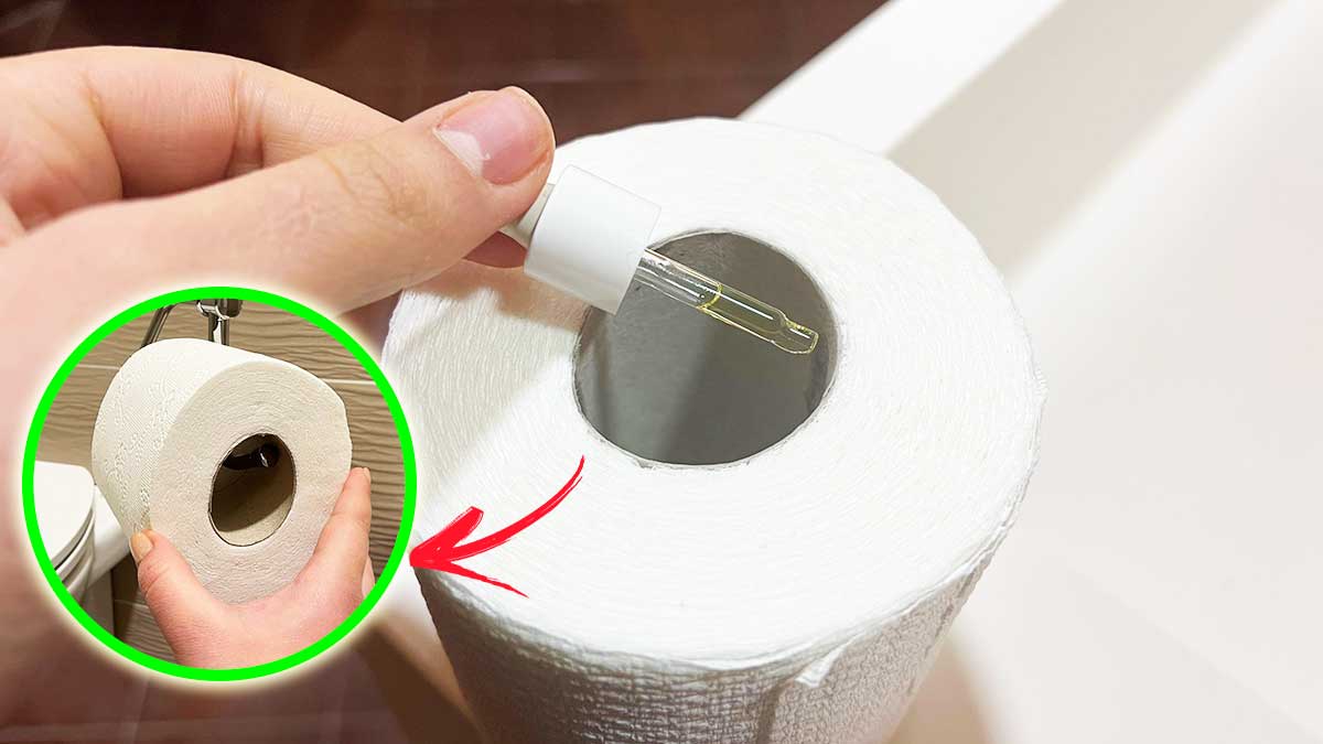 Come tenere il Bagno profumato tutto il giorno anche se non ha la Finestra?