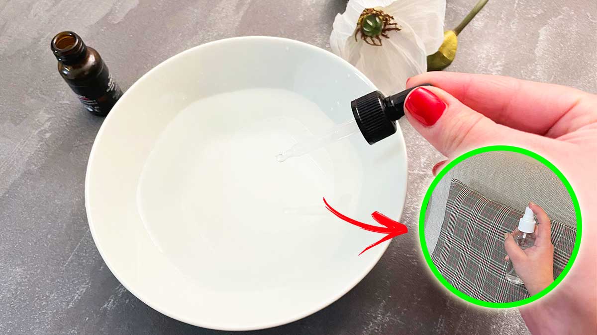 Per avere la Casa fresca che profuma di Primavera basta questo Rimedio fai da te