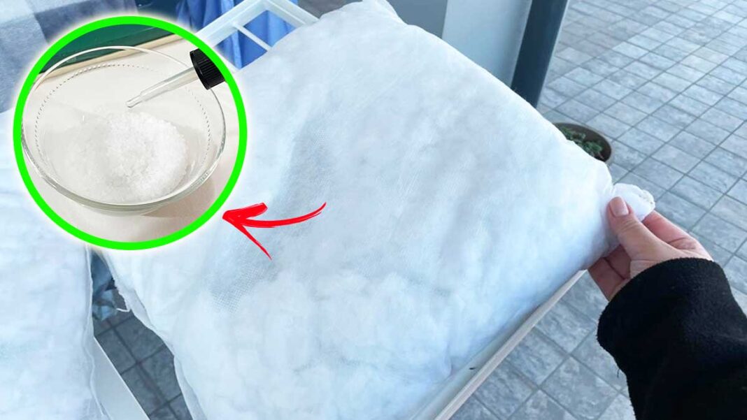 limpieza-en-seco-almohadas limpieza-en-seco-almohadas