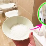 Non solo aceto e bicarbonato ecco il Trucco naturale per pulire Tutto il Bagno!