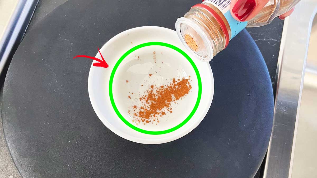 Come Profumare tutta la Casa in 2 Minuti a costo zero con questi 5 Trucchetti