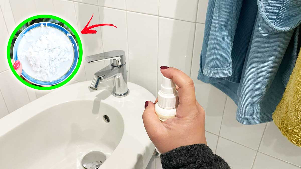 Come Profumare il Bagno di Fiori con questo Metodo facile e veloce