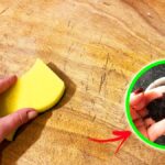 Se il Tavolo in Legno è un po’ graffiato prova questi 5 Trucchetti per rimediare