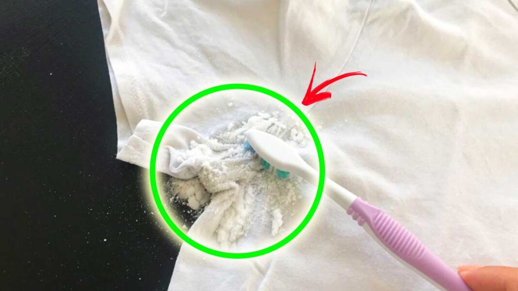 Canottiera Classica Speidel Nelly – Confezione Da 2 – 100% Cotone, Bianca, Taglia 48 – Sottogiacca O Per Tutti I Giorni