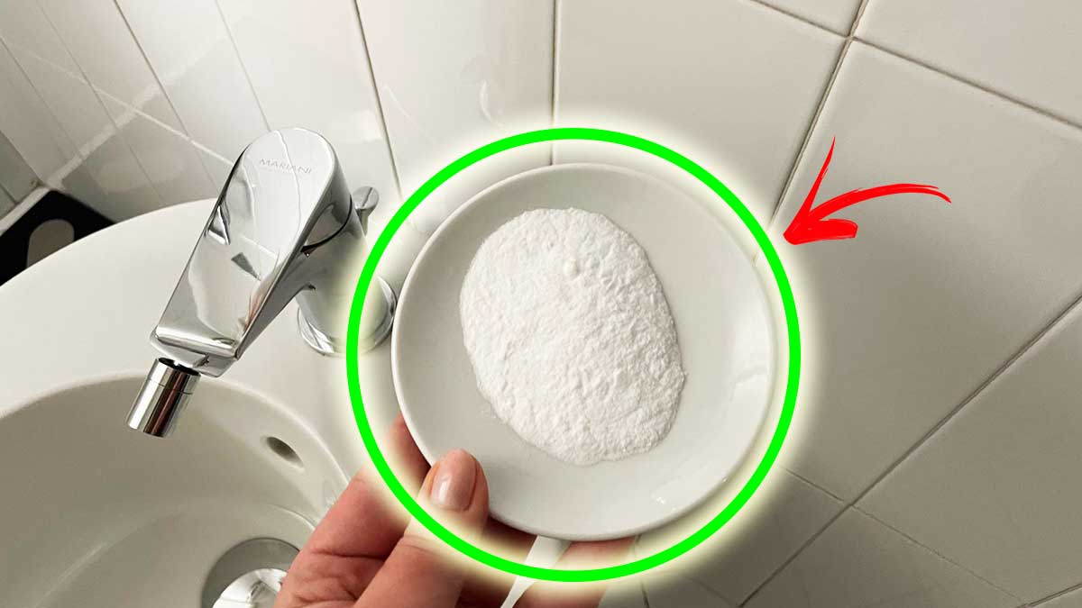 Come togliere la puzza dal Bagno con il Piattino assorbi odori!
