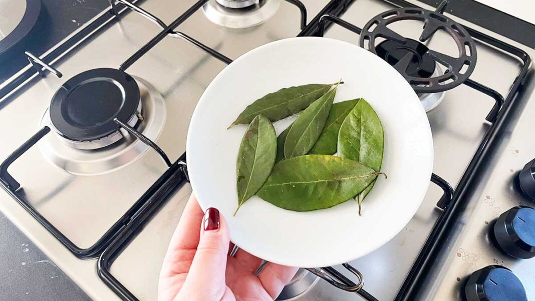 trucchetti-con-alloro-in-cucina