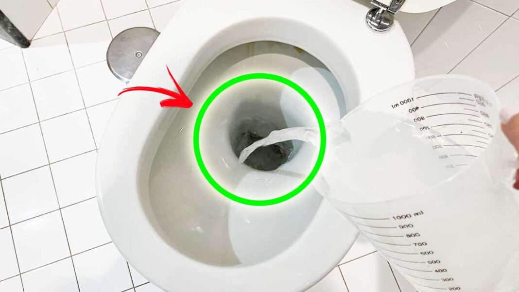 cattivi-odori-che-salgono-wc
