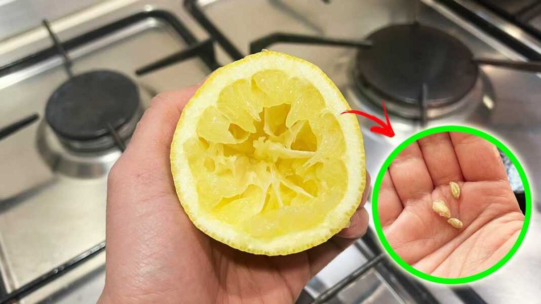 cómo-usar-semillas-de-limón