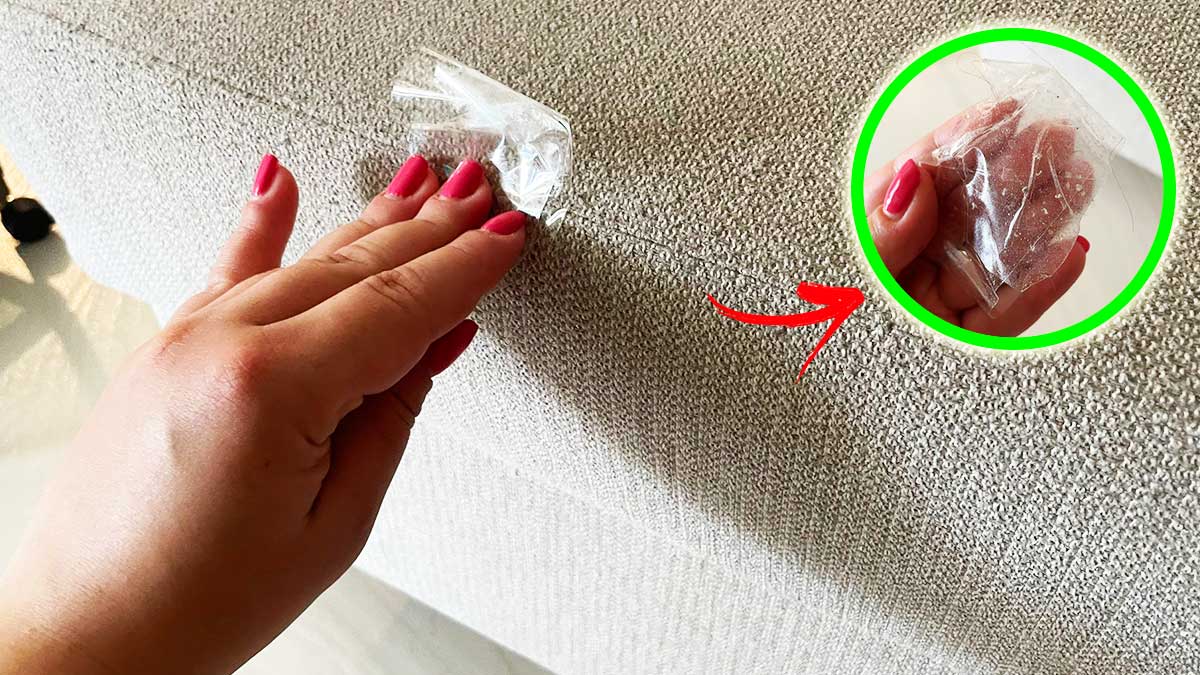 Non tutti conoscono questo Trucchetto per togliere tutti i peli e pelucchi dal Divano
