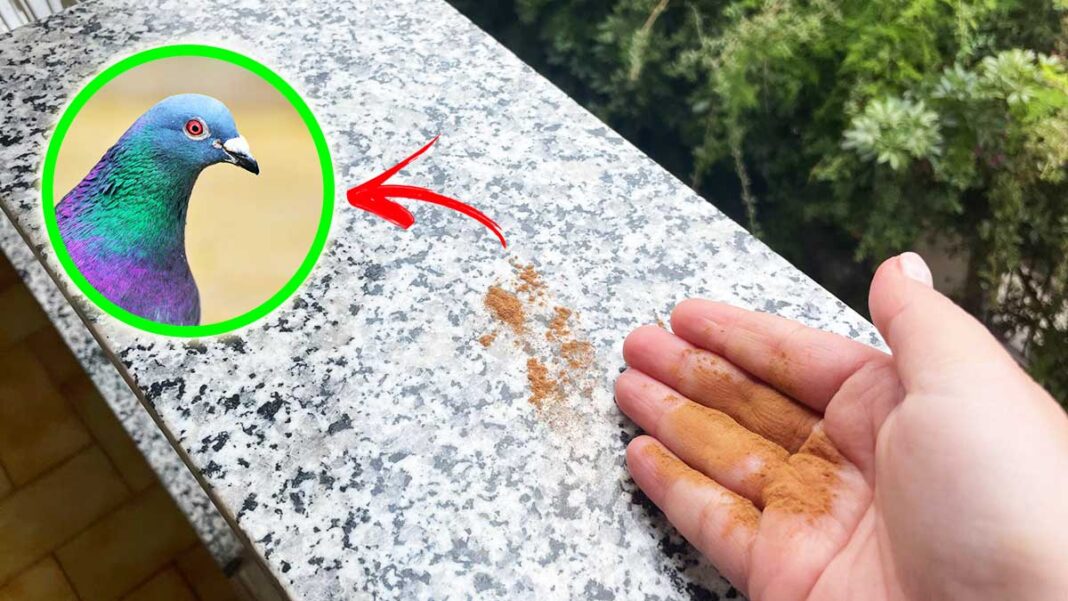 piccione-marmo-balcone