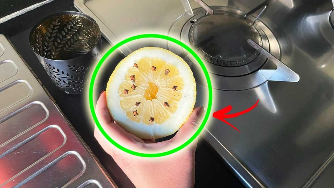 trucchetto-mosche-limone
