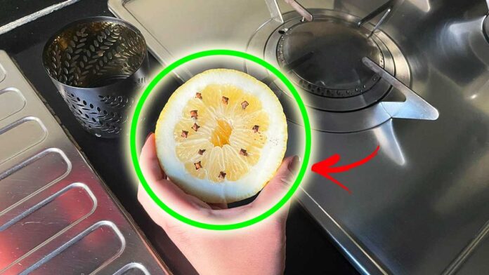 trucchetto-mosche-limone