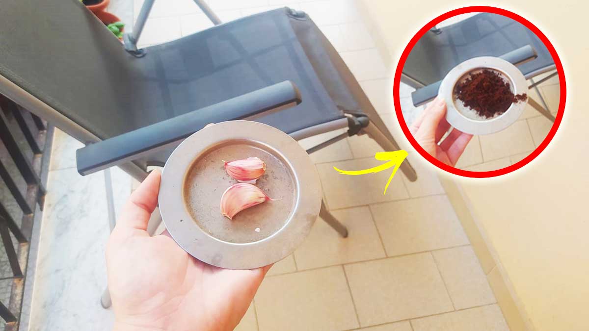 Come allontanare gli Insetti quando sei in Balcone? Il segreto è nella tua cucina