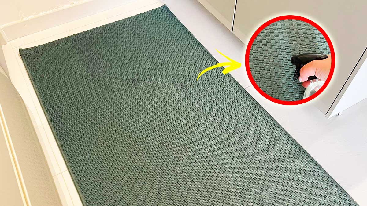 Come togliere tutte le Macchie dal Tappeto della cucina con un semplice Rimedio fai da te