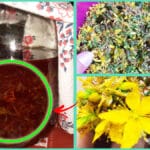 Tutto quello che devi sapere per fare l’olio di Iperico a Casa