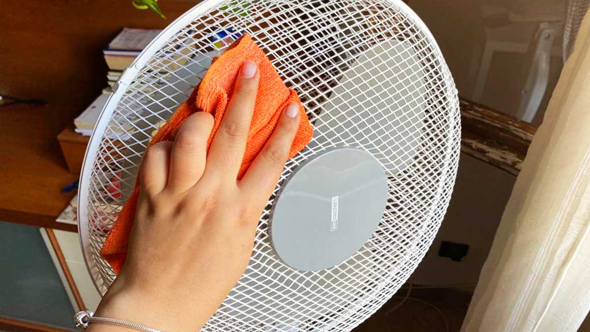 Come pulire i Ventilatori prima di usarli? Basta questo Metodo