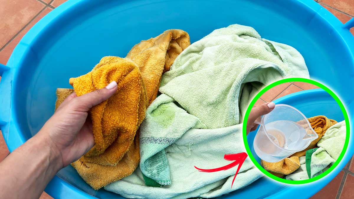 Come ammorbidire i Teli Mare induriti dal Sole e dalla Salsedine con questo Metodo semplice
