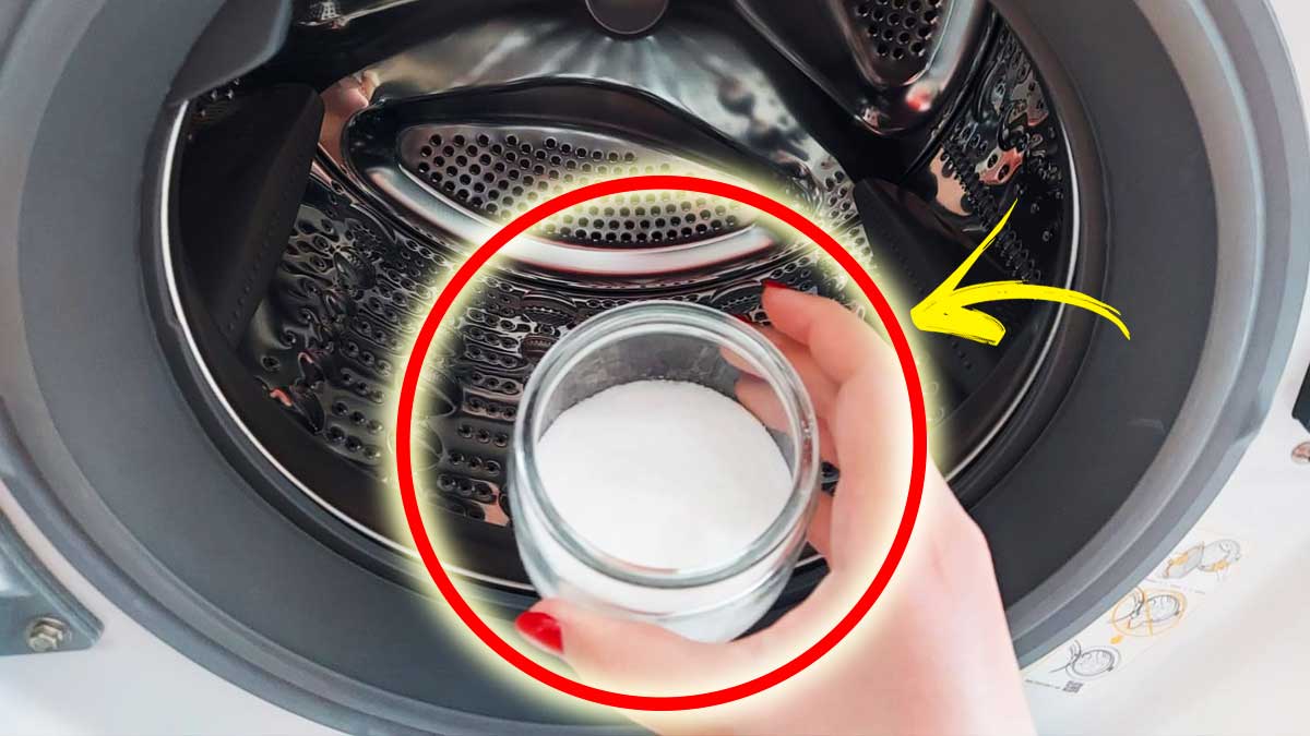 Se dopo le Vacanze la Lavatrice puzza un po’ ti basta questo Rimedio per averla come nuova