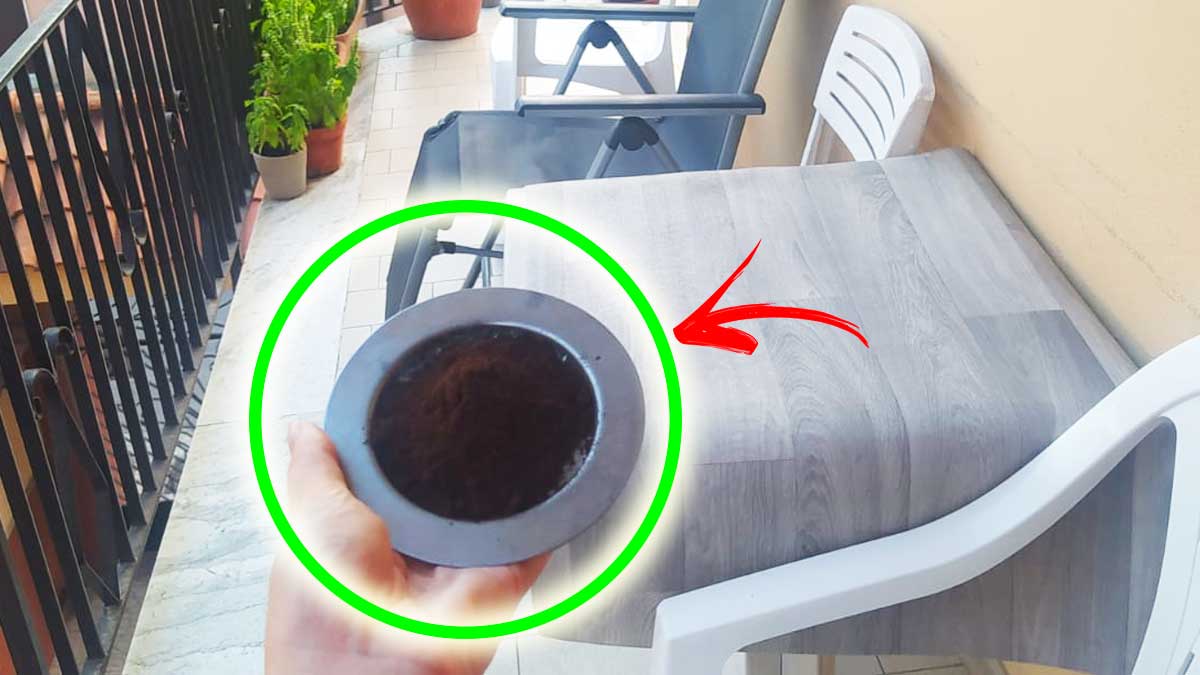 Con questo Trucchetto puoi cenare all’aperto in Balcone senza Zanzare