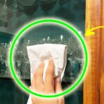 Come far brillare di nuovo la Vetrinetta e prevenire l’arrivo della Polvere