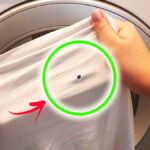 Se trovi i Vestiti bucati a volte è colpa della Lavatrice per questa serie di motivi