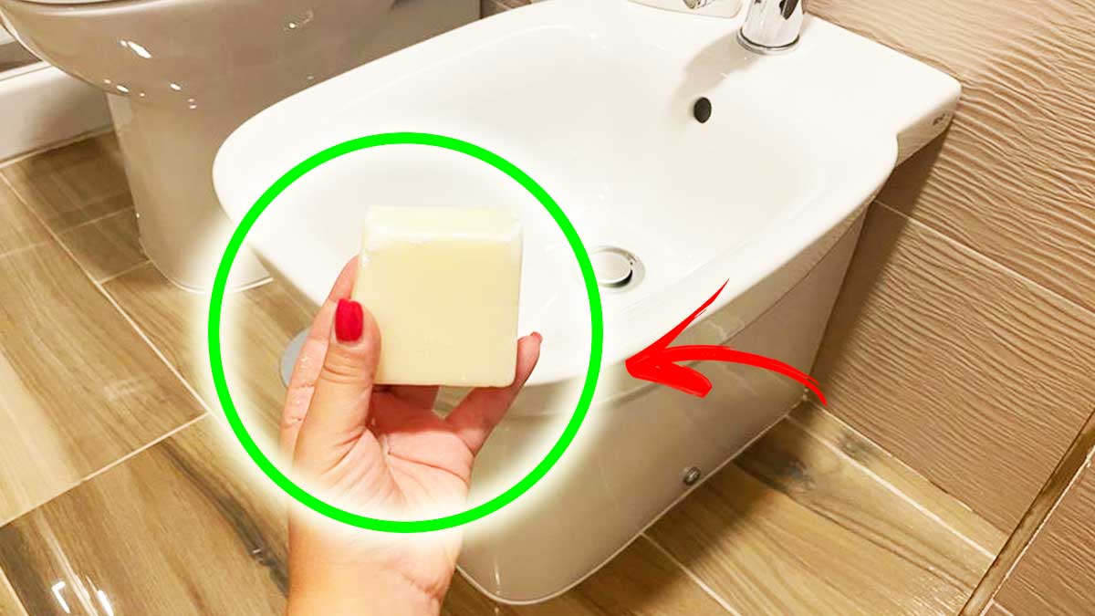 Come far brillare le Ceramiche del Bagno con una Saponetta facile da trovare ed economica