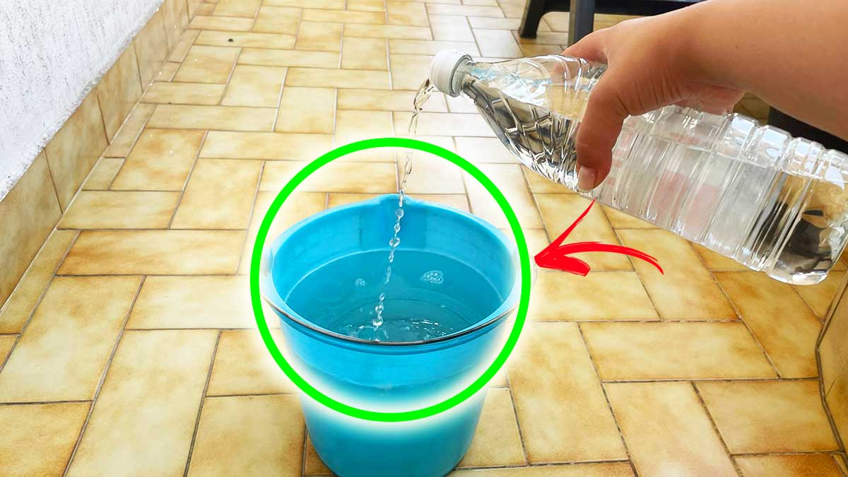 Un Secchio d’Acqua e Aceto basta per pulire a fondo tutto il Balcone