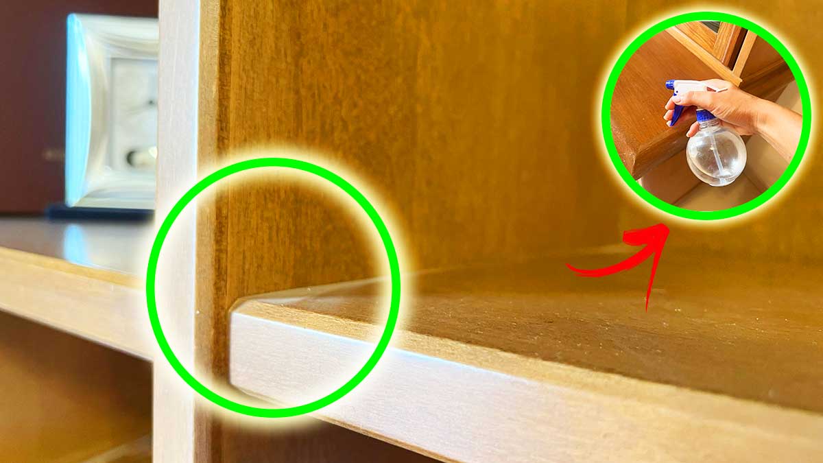 Come togliere la Polvere in modo duraturo con questi Metodi semplici ed economici