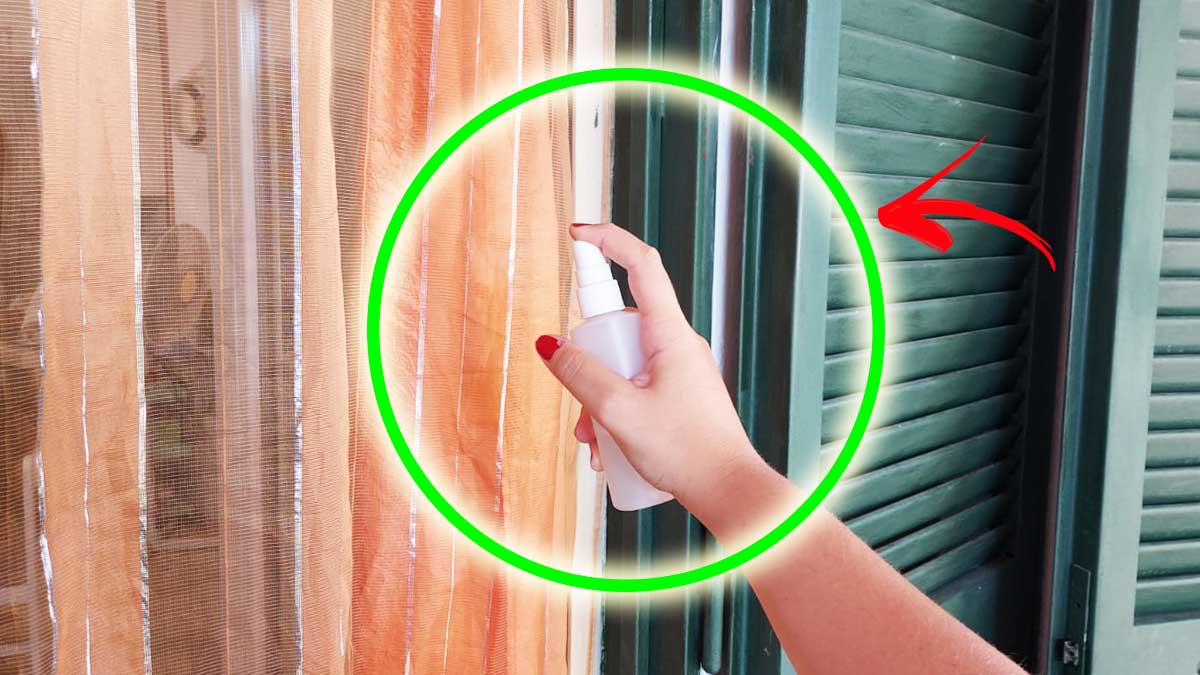 Tutti i Trucchetti per rinfrescare e togliere la Polvere dalle Tende dopo le Vacanze